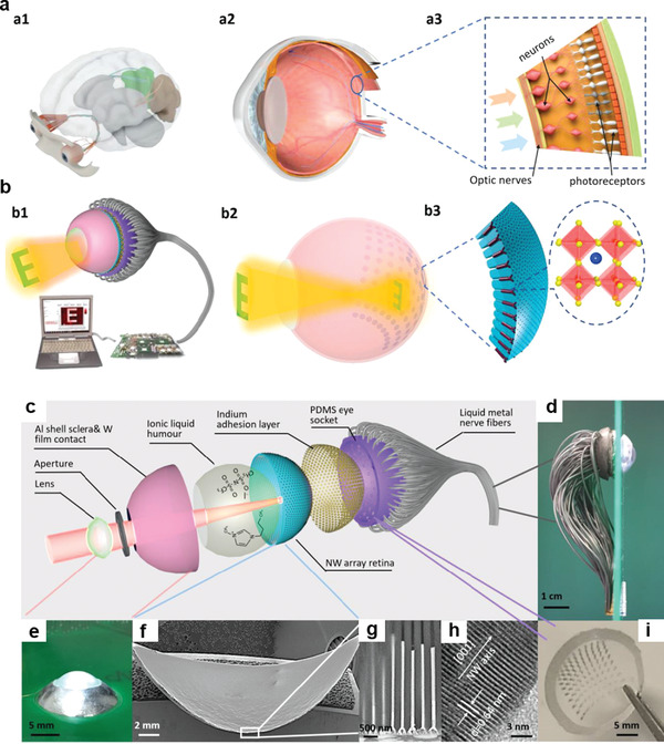 Figure 16