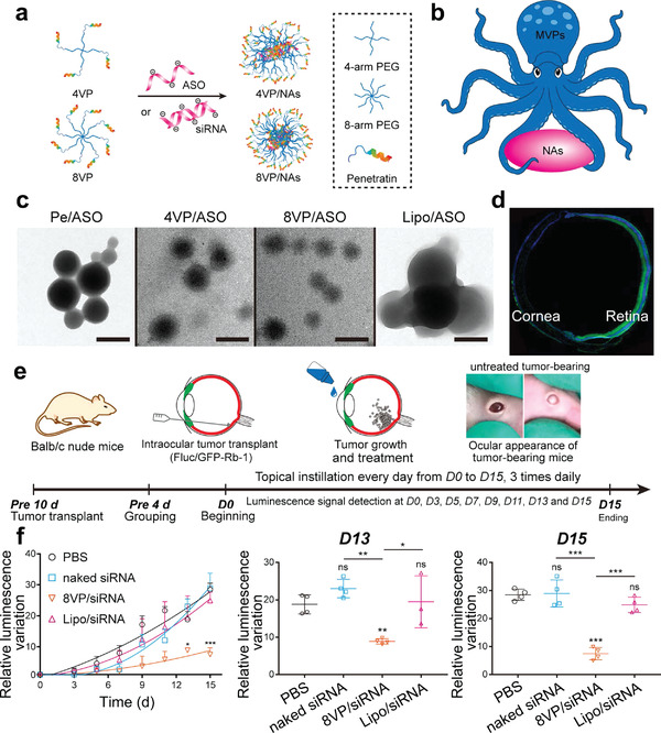 Figure 17