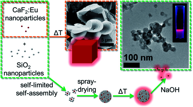 graphic file with name c9na00442d-ga.jpg