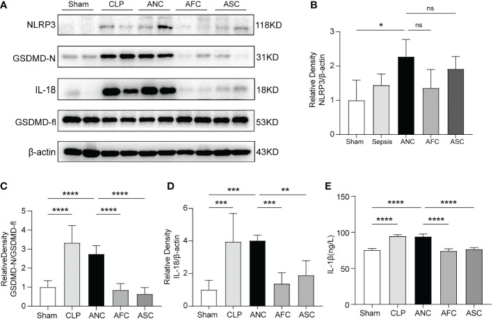 Figure 6