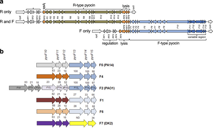 FIG 2