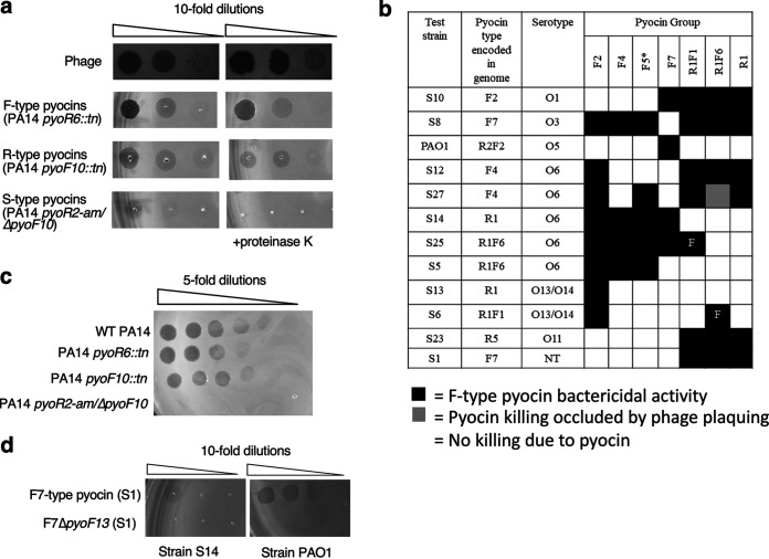 FIG 3