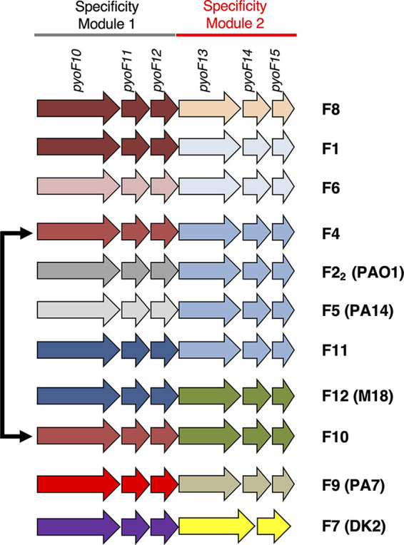 FIG 6