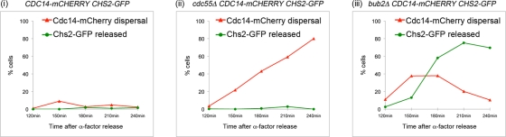 FIGURE 5: