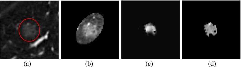 Fig. 10