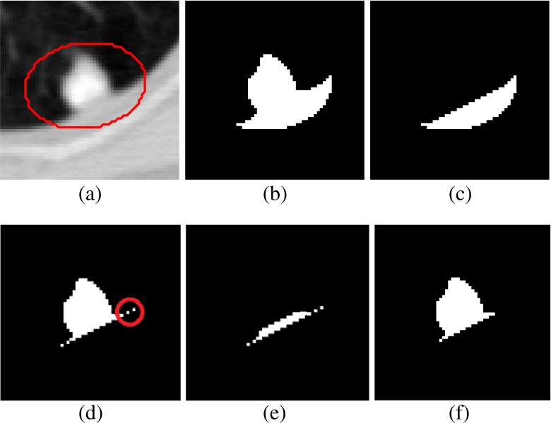 Fig. 5