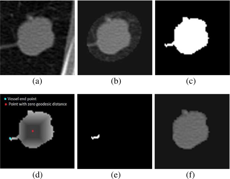 Fig. 7