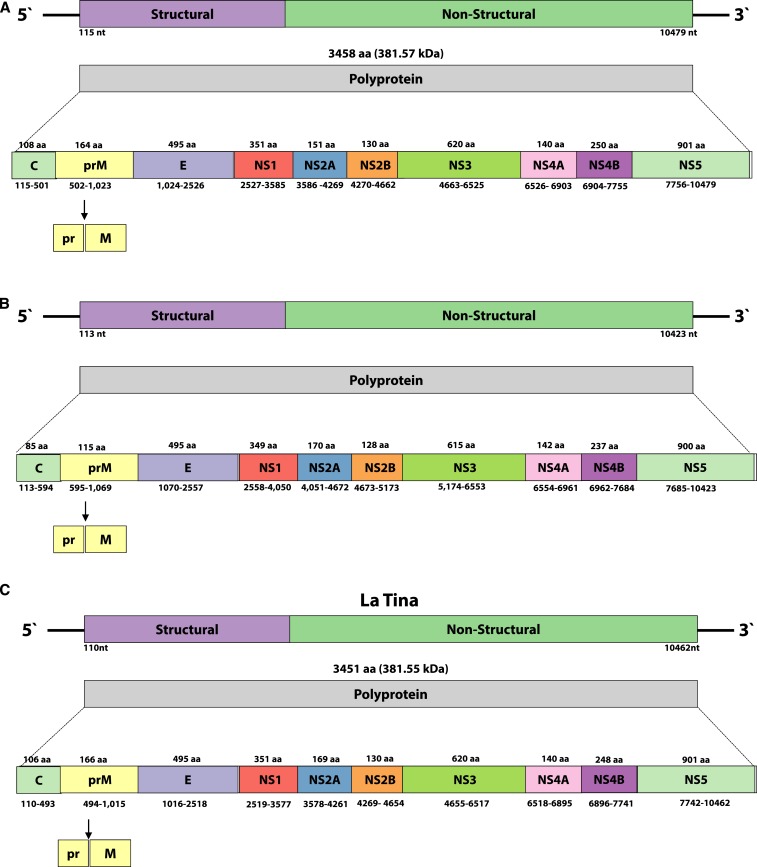 Figure 4.