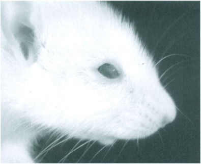 Fig. 12-17