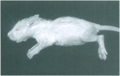 Fig. 12-2