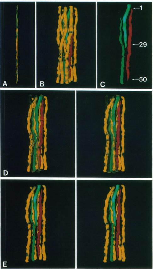 graphic file with name pnas00252-0227-a.jpg