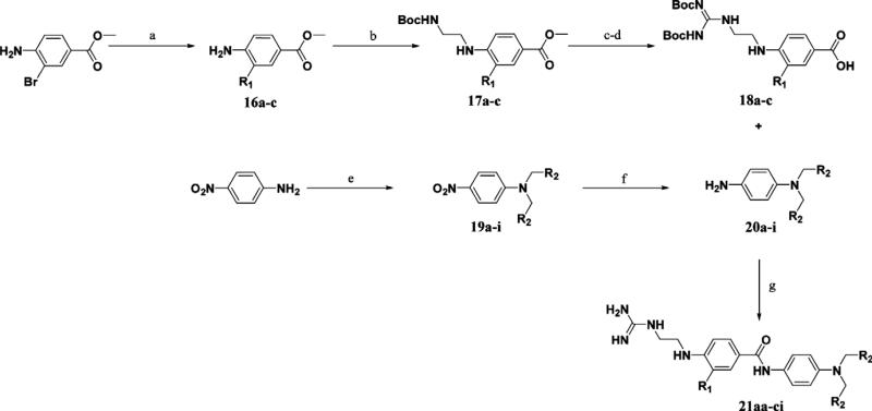 Scheme 2