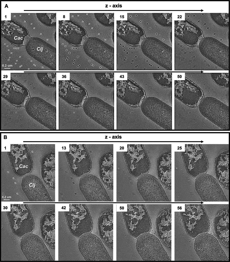 FIG 2