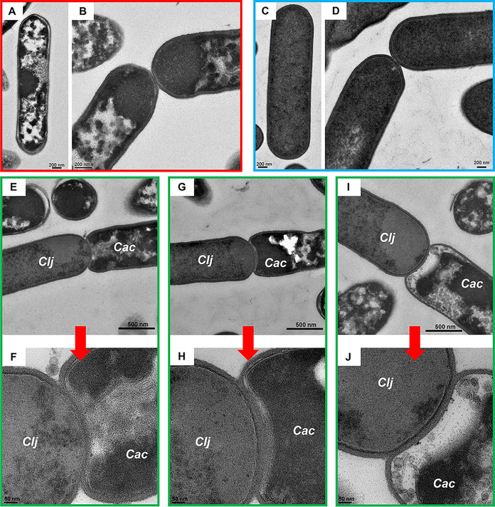 FIG 1