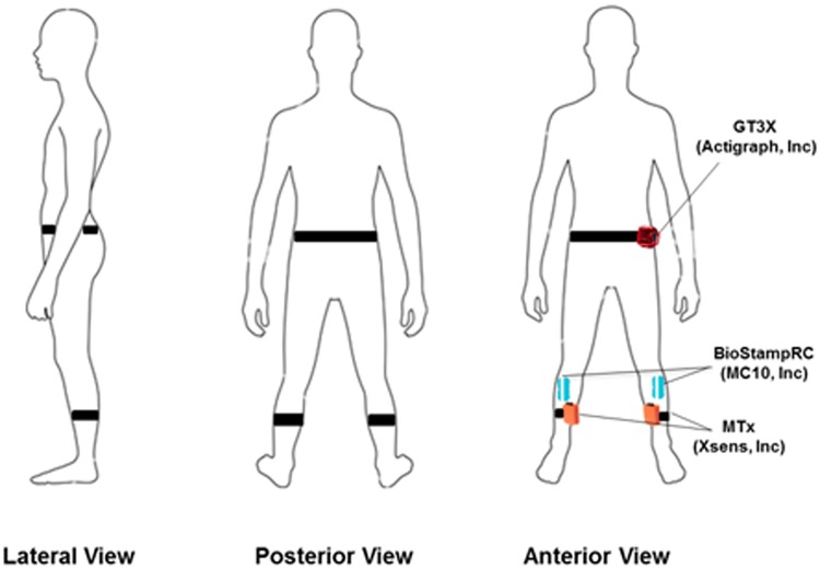 Fig 2