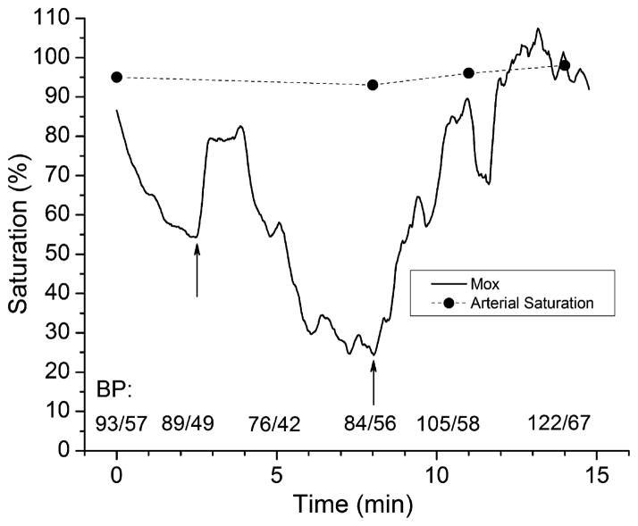 Fig. 8