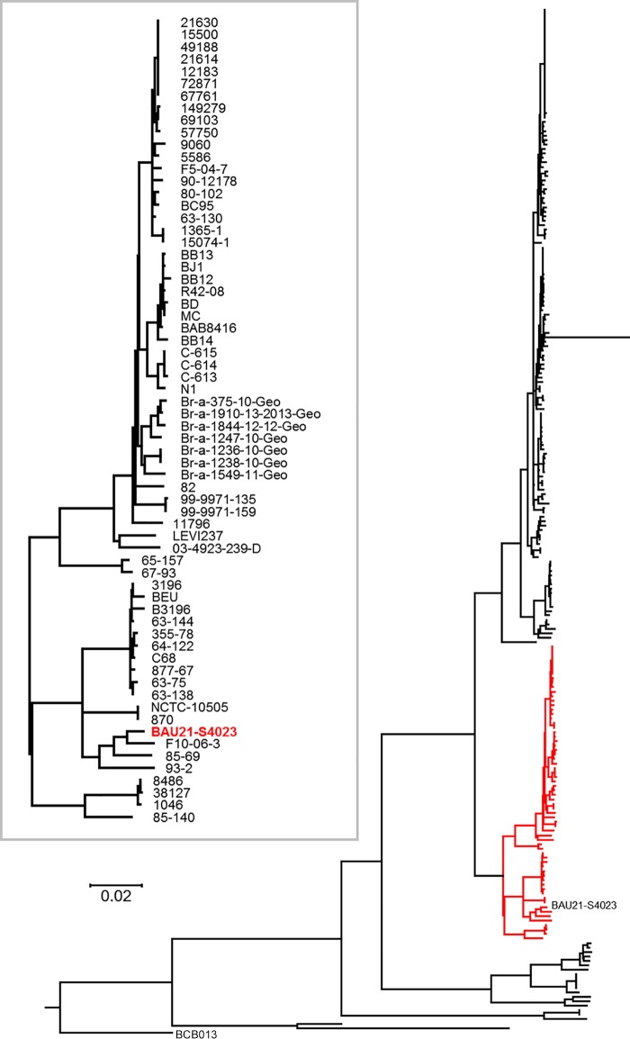 FIG 1