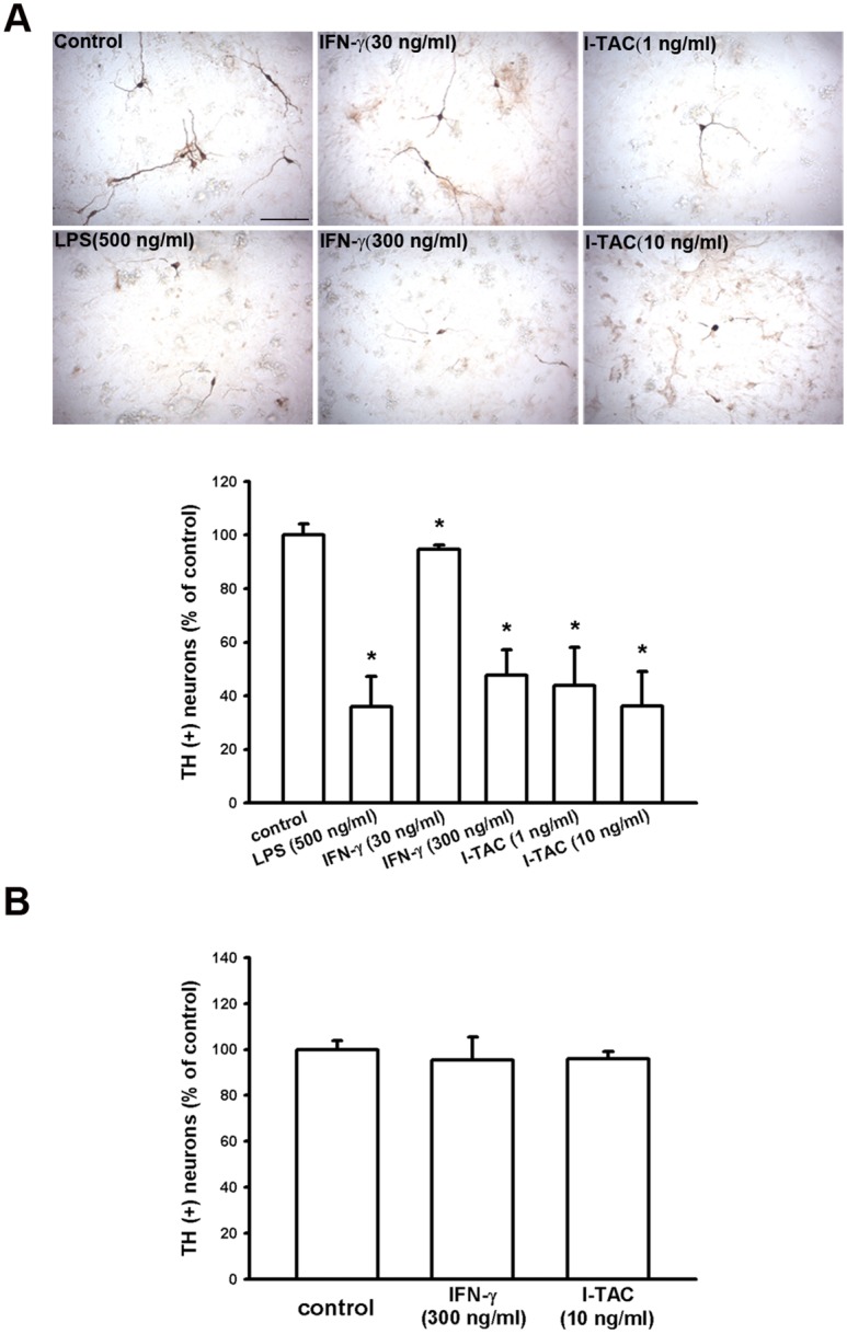 Fig 10