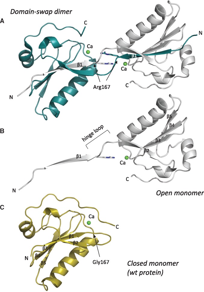 Figure 1.