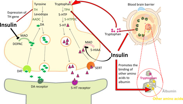 FIGURE 4