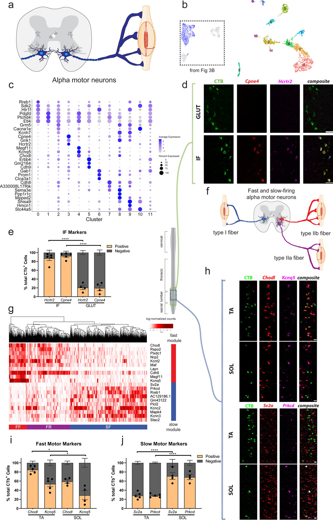 Fig. 4: