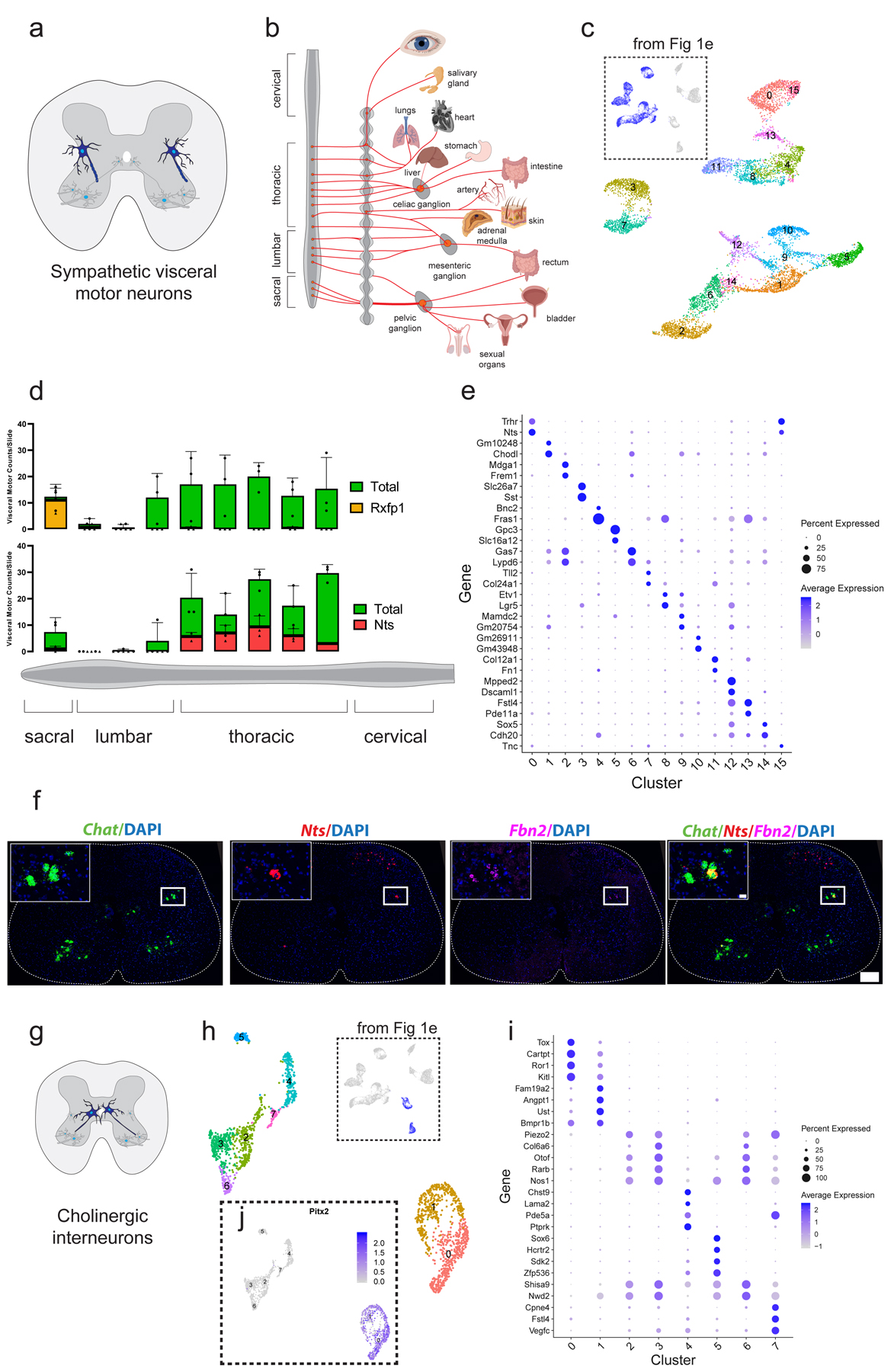 Fig. 2: