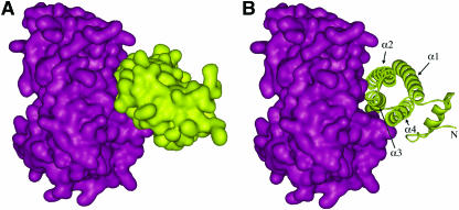 Figure 5.