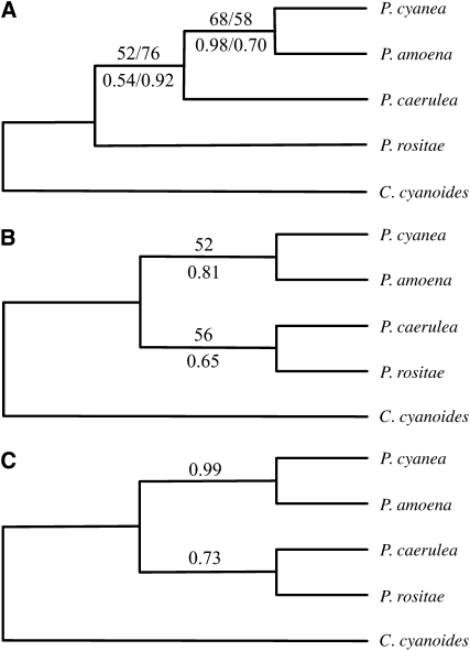 Figure 3.—