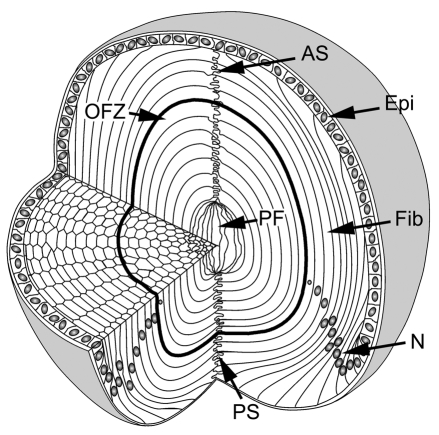 Fig. 1.