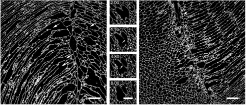 Fig. 9.