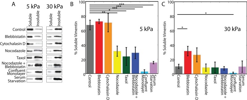 FIGURE 5: