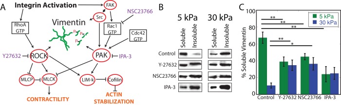 FIGURE 6: