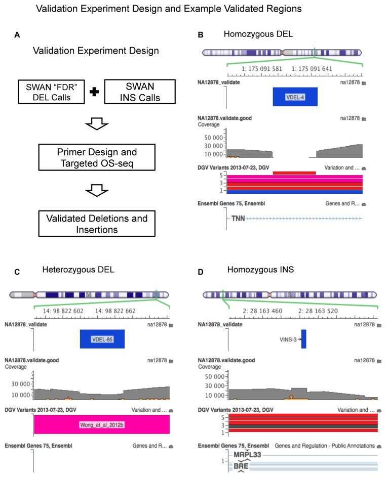 Figure 2.