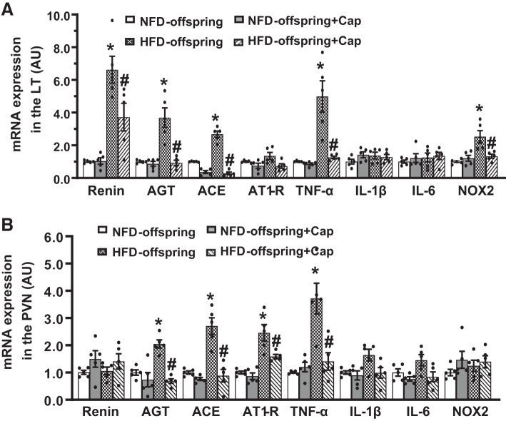 Fig. 3.