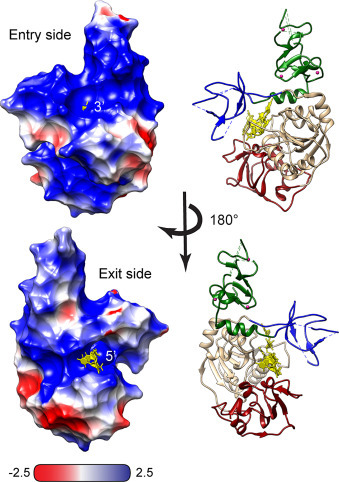 Fig. 7