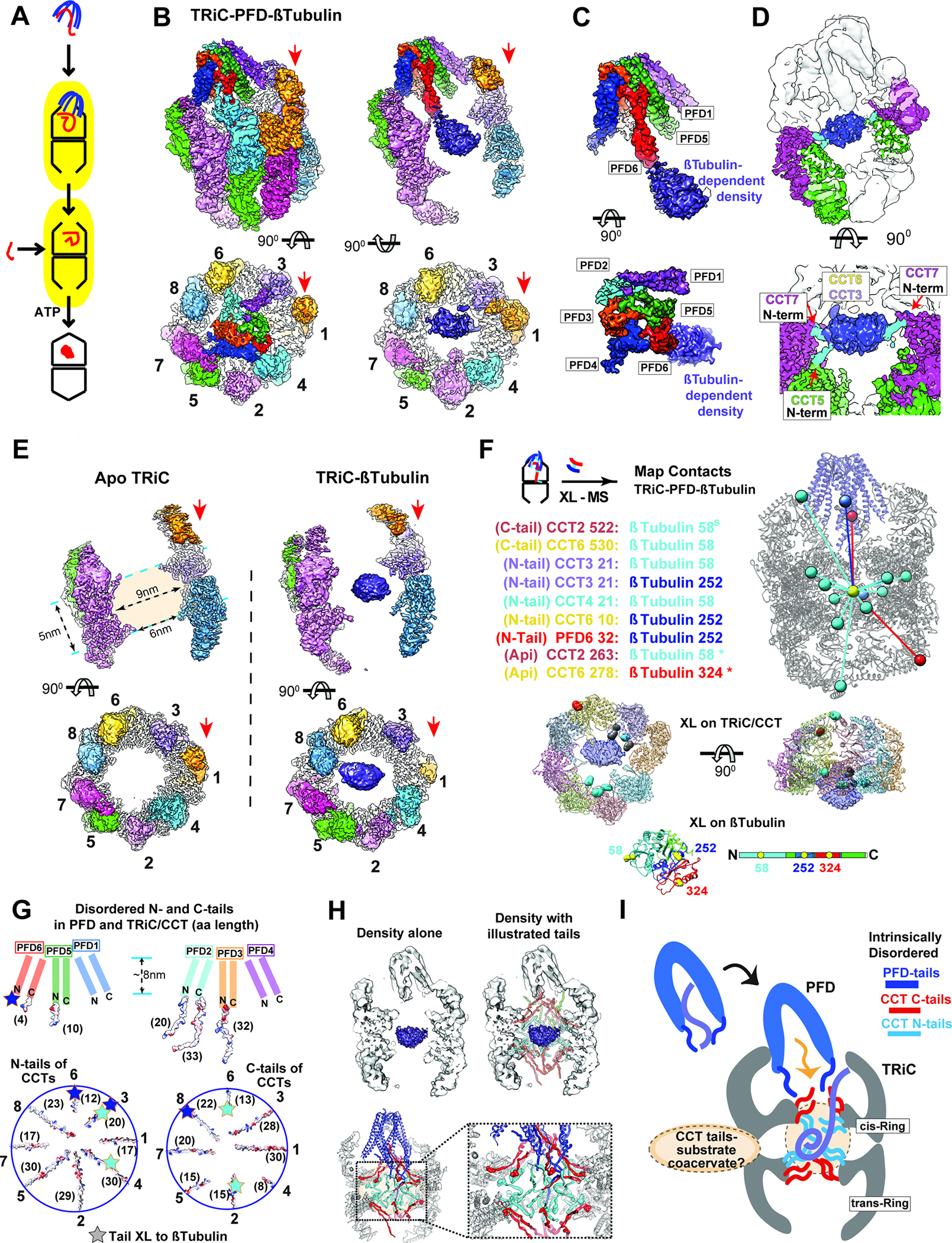 Figure 3: