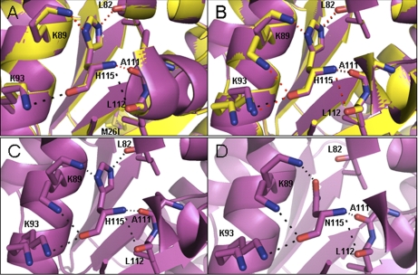 Fig. 8.