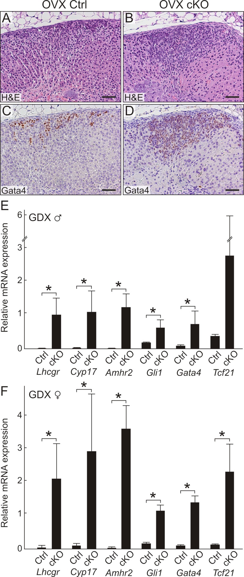 Figure 6.