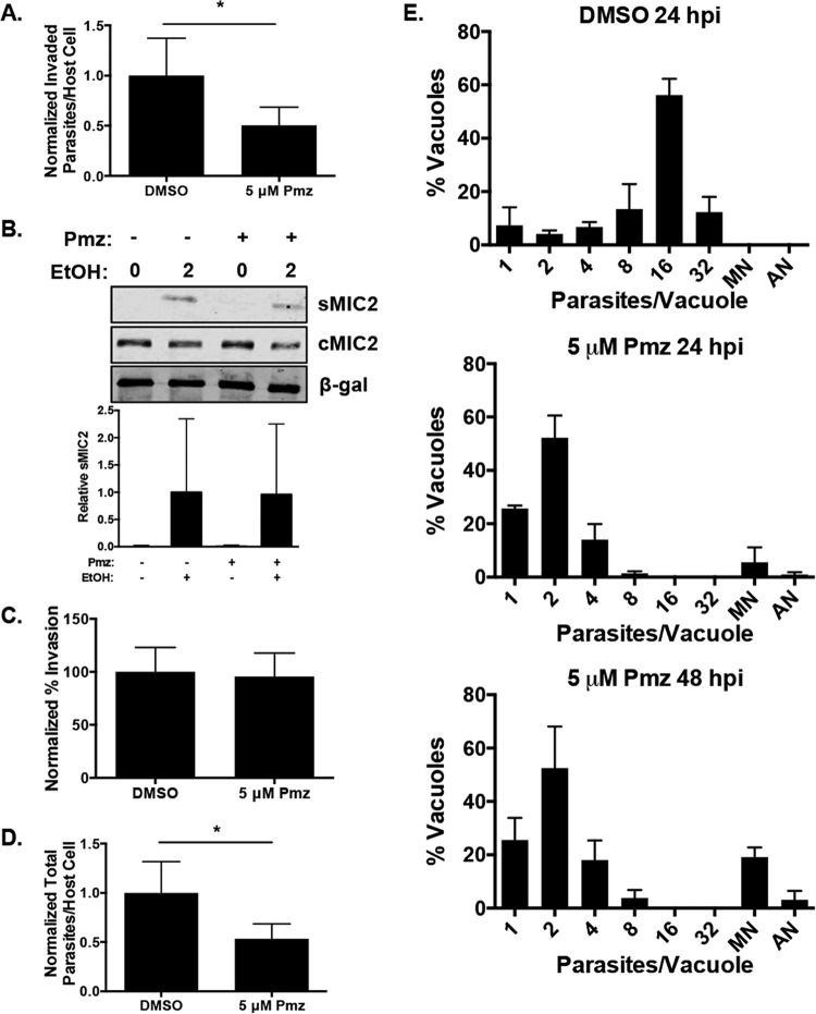 FIG 3 