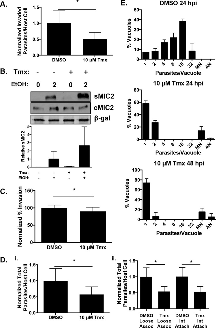 FIG 4 