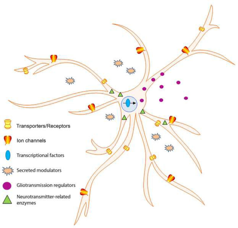 Figure 1.