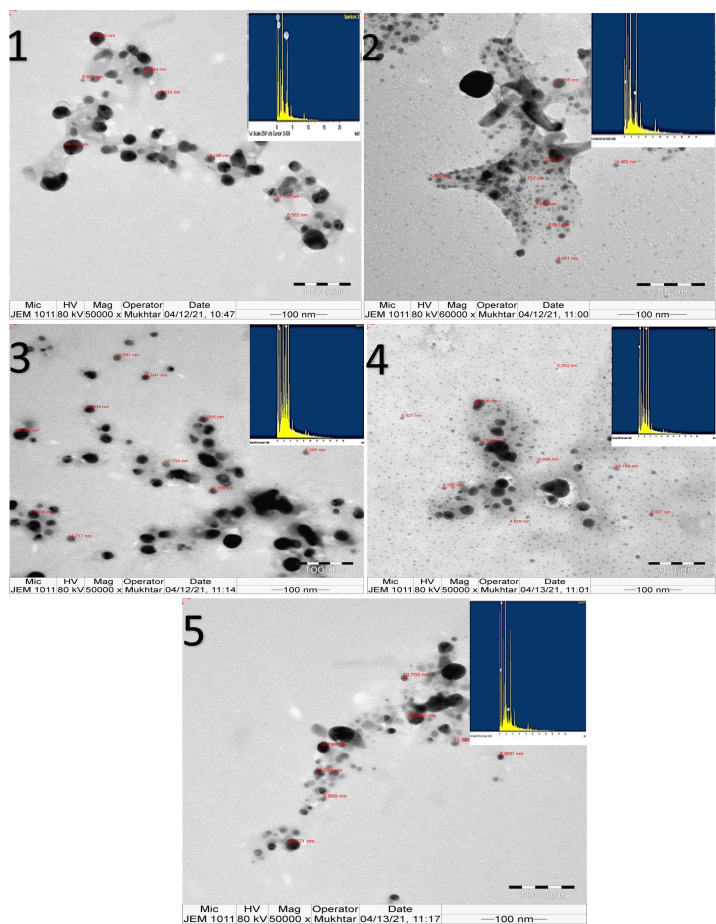 Figure 7