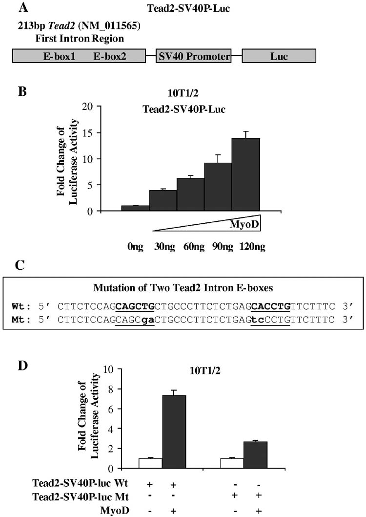 Fig. 10.