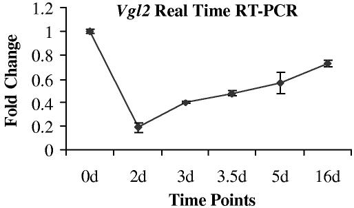 Fig. 8.