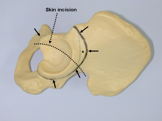 Fig. 2