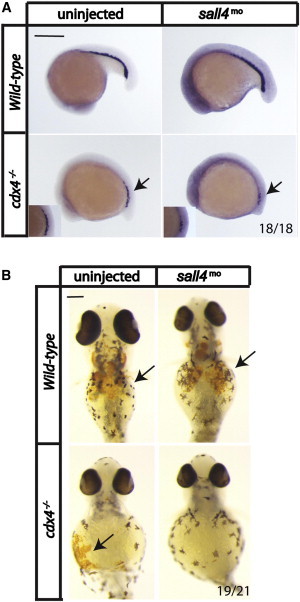 Figure 3