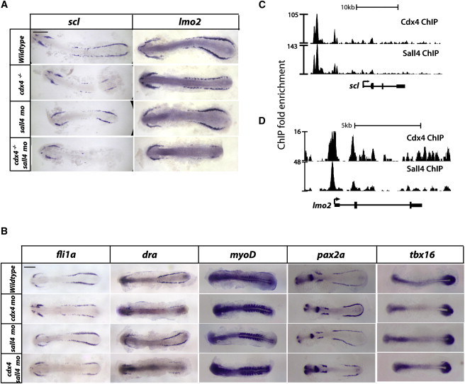 Figure 4