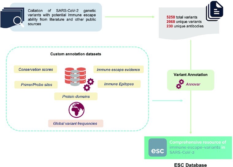 Graphical Abstract