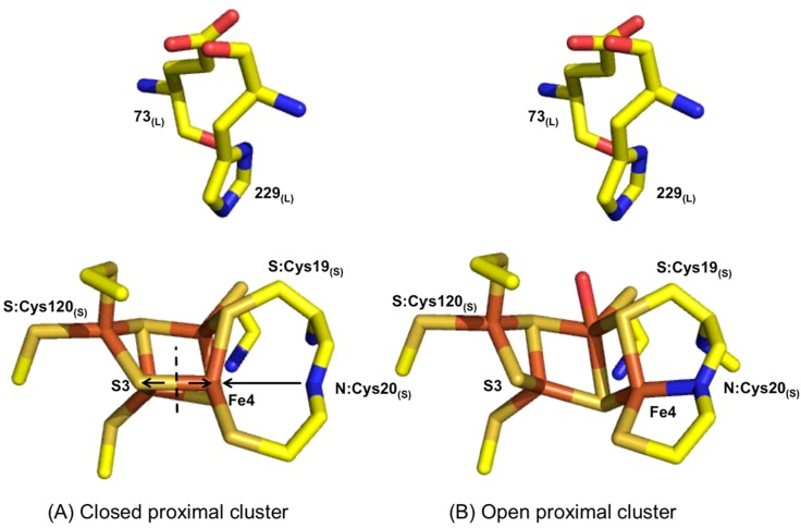 Figure 12