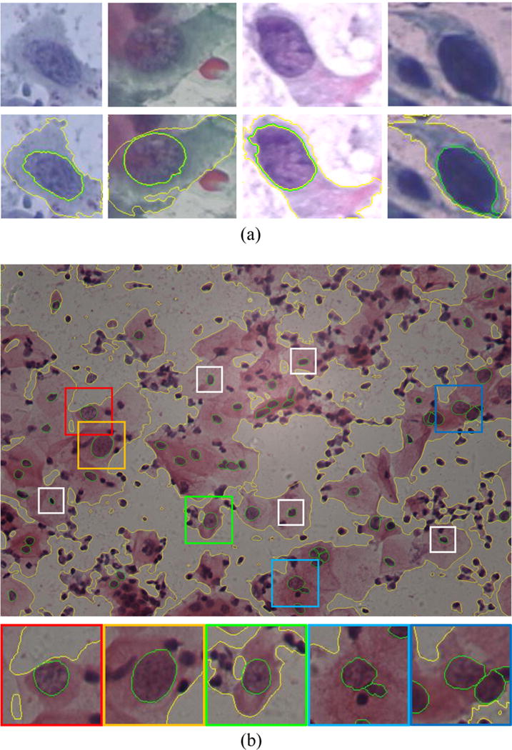 Fig. 7